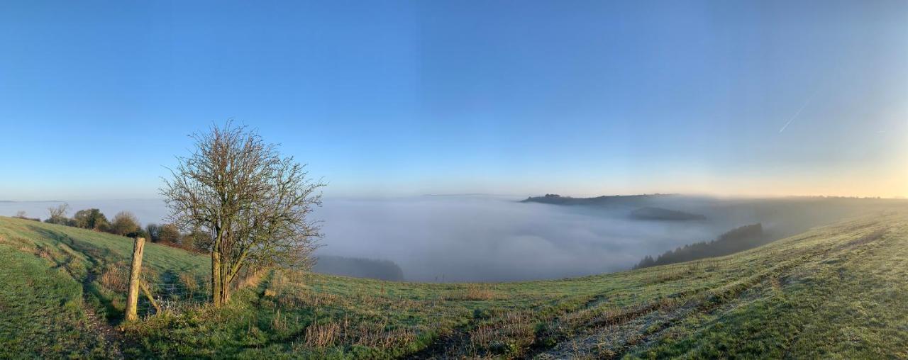 Wingmore Ansty  エクステリア 写真